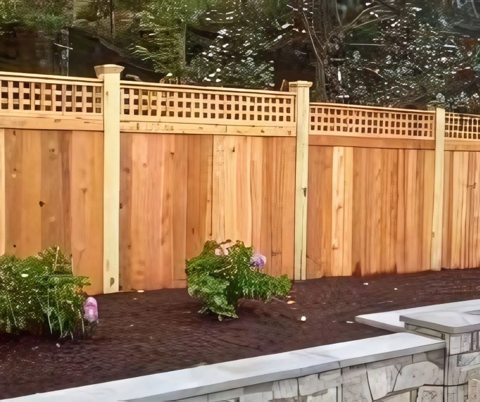 Cactus Fence installation example